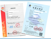 Case of Ex Certification for Portable Gas Detectors