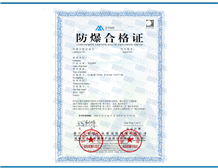 Case of Ex Certification for conductive slip rings