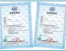 Case of op is Ex Certificate for passive fiber optical lamp