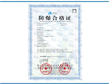 Case of Ex Certificate for High-Speed Permanent Magnet Synchronous Motors