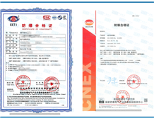 The case of Ex certification for ultrasonic thickness gauge | STS