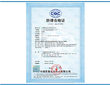 Cases of Non-Electrical Explosion-Proof Certification for Rotary Valves | STS